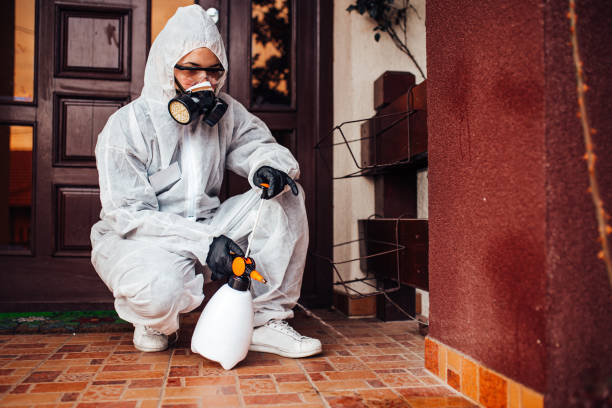 Reliable Wasp Removal contractor in Pembroke, NC by Show Me Pest Control